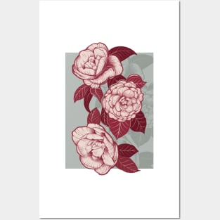 Peonies in colors Posters and Art